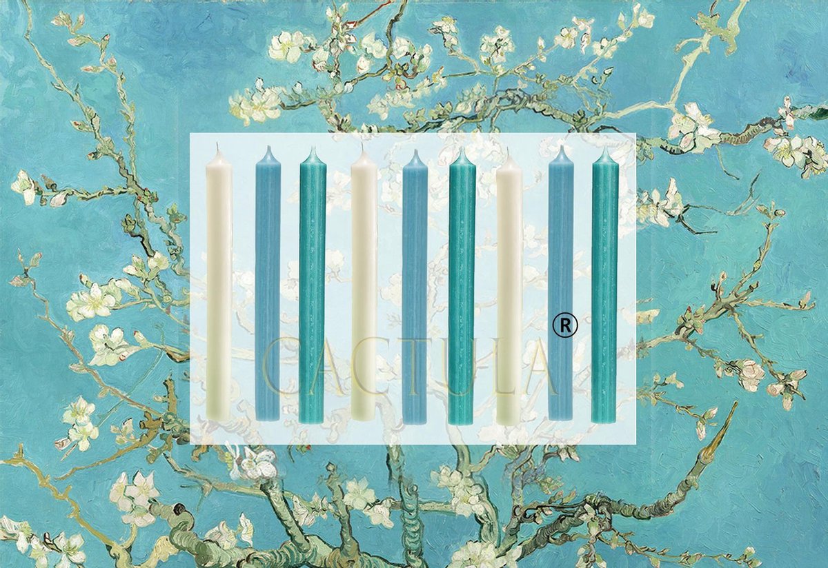 Cactula mooie dinerkaarsen 19,5 cm in 3 Trendy Kleuren 9 stuks | Amandel Bloesem van van Gogh | Champagne / Lichtblauw / Turquoise