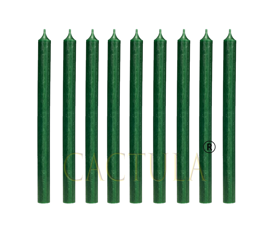 Cactula gekleurde lange dinerkaarsen 28 cm Groen 18 stuks | 10 branduren