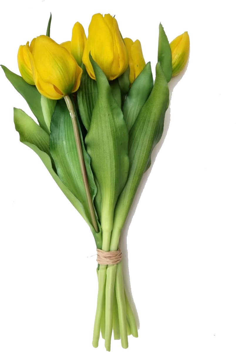 Cactula mooie nep tulpen bos Geel 20 cm