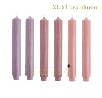 images/productimages/small/30-cm-3.2-bloem.jpg