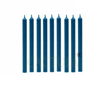 Cactula mooie lange dinerkaarsen 28 cm Donkerblauw 18 stuks | 10 branduren